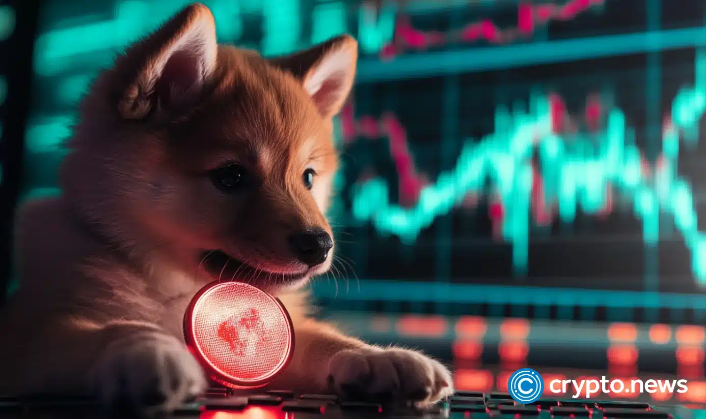 Shib and Dogi holders run into a ceccoin set to grow in 2025